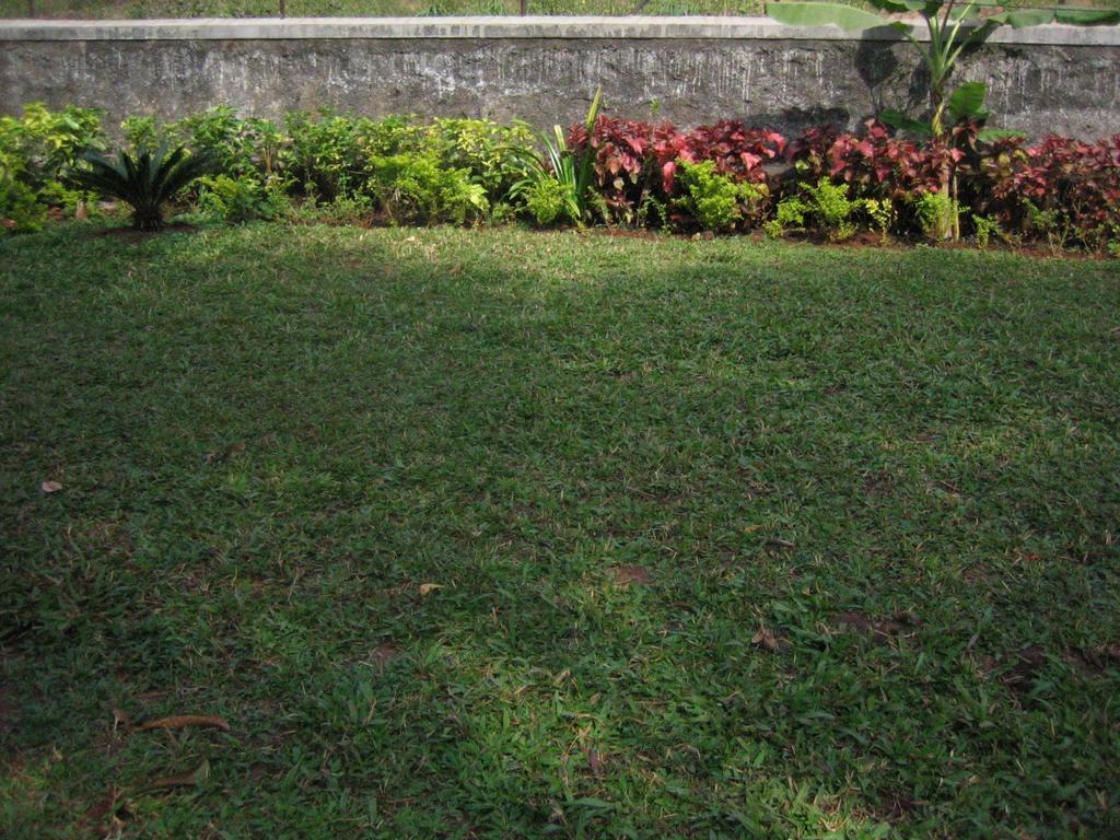Hotel Ferreira Resort Lonavala Εξωτερικό φωτογραφία
